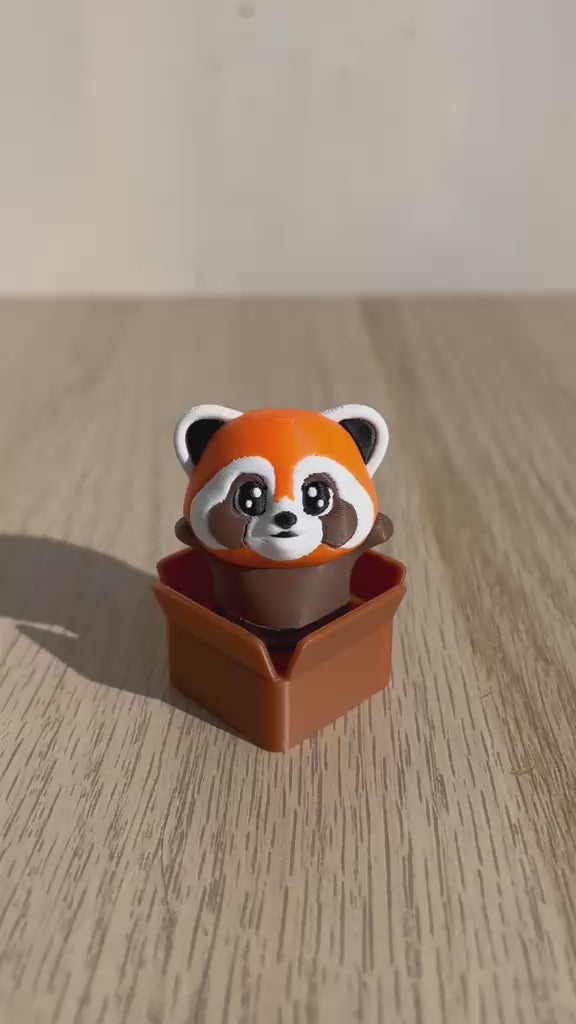 Panda rosso